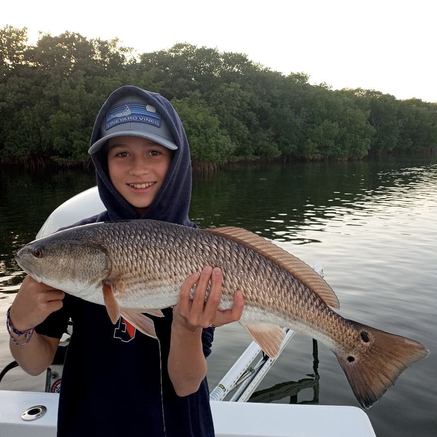 Bayshore Fishing Charters