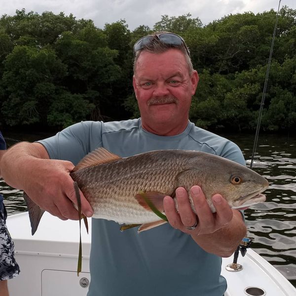 Bayshore Fishing Charters