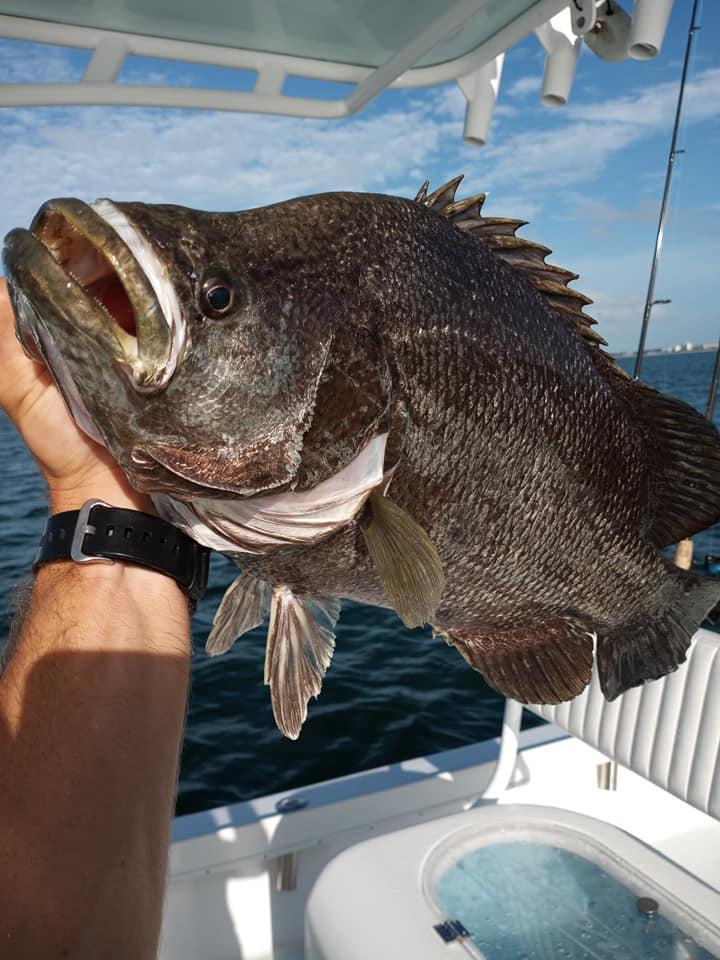 Bayshore Fishing Charters